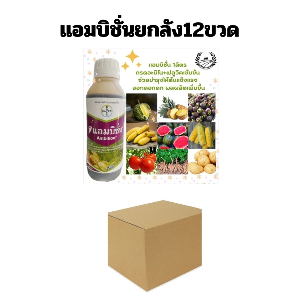 ยกลัง12ขวด แอมบิชั่น ขนาด 1 ลิตร (กรดอะมิโน และกรดฟูลวิคเข้มข้น) บำรุงต้น ออกดอกดก ผลผลิตเพิ่มรากยาว ผลผลิตดี ออร์โมนพืช