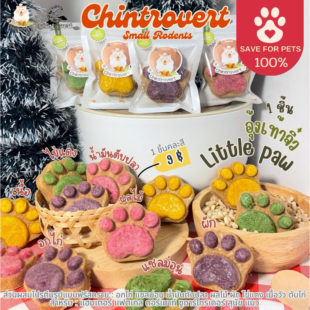 Chintrovert ✨| Little paws 🐾 อุ้งเท้าจิ๋วฟรีสดราย 1 ชิ้นคละสี | แฮมเตอร์ แฟตเทล ดอร์เมาท์ ชูการ์ไกร์เดอร์