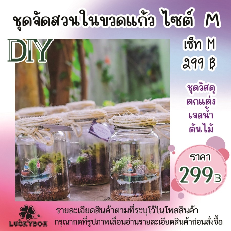 สวนขวดแก้ว สวนขวด ชุดจัด DIY มีเจลตกแต่งทำธารน้ำ 3 สี ไซต์ M