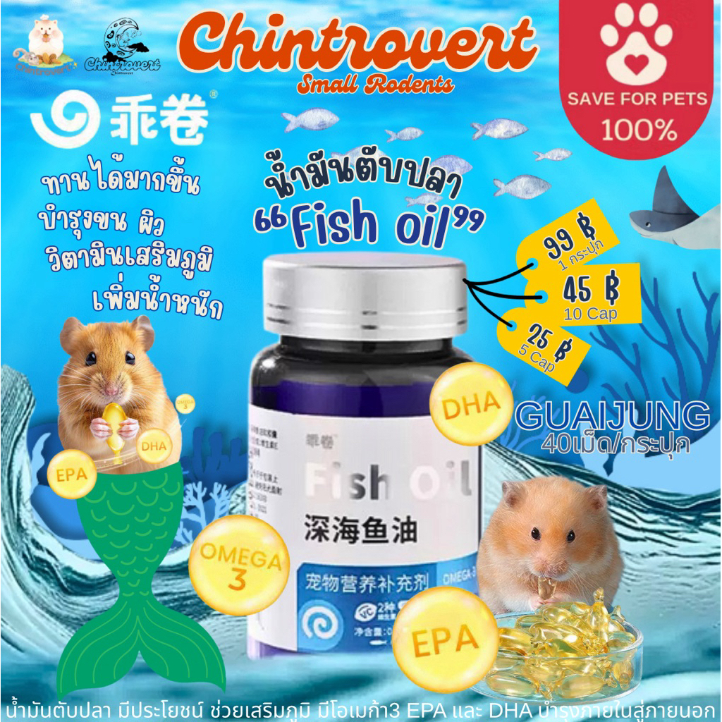 Chintrovert ✨| Guaijuan Fish oil น้ำมันตับปลา บำรุงขน ผิว กระดูก เสริมโอเมก้า เพิ่มน้ำหนัก | แฮมเตอร์ แฟตเทล ดอเมา ชูก้า