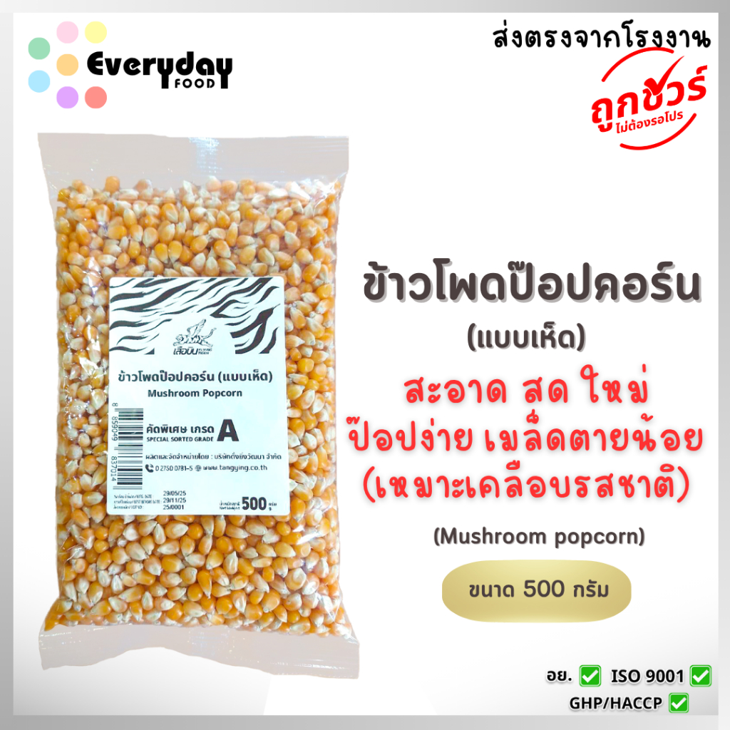 ข้าวโพดป๊อปคอร์น 500 ก. ตราเสือบิน แบบเห็ด (Mushroom popcorn) เม็ดกลม  ป๊อปง่าย เมล็ดตายน้อย
