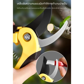 เครื่องมือลับมีด มัลติฟังก์ชั่น ด้ามจับกันลื่น บดง่าย ใช้งานง่าย เครื่องมือลับคม