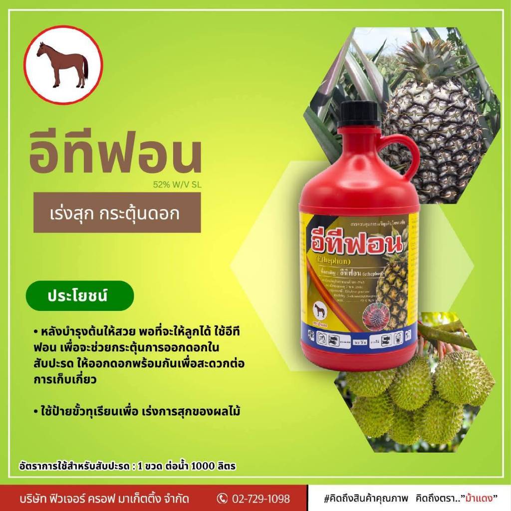 สารควบคุมการเจริญเติบโต โทเทรล( อีทีฟอน) เร่งการสุกแก่ให้ผลไม้ (ยาบ่ม)