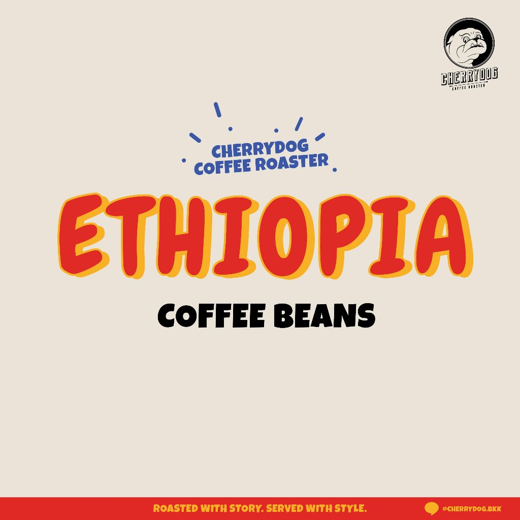Cherrydog | รวมเมล็ดกาแฟ เอธิโอเปีย Ethiopia | อราบิก้า100%