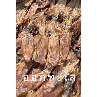 หมึกกะตอยไข่-(ใหญ่) ออร์แกนิค ทำแบบธรรมชาติ เนื้อจะมันๆๆ กินกับแกง อร่อยมาก