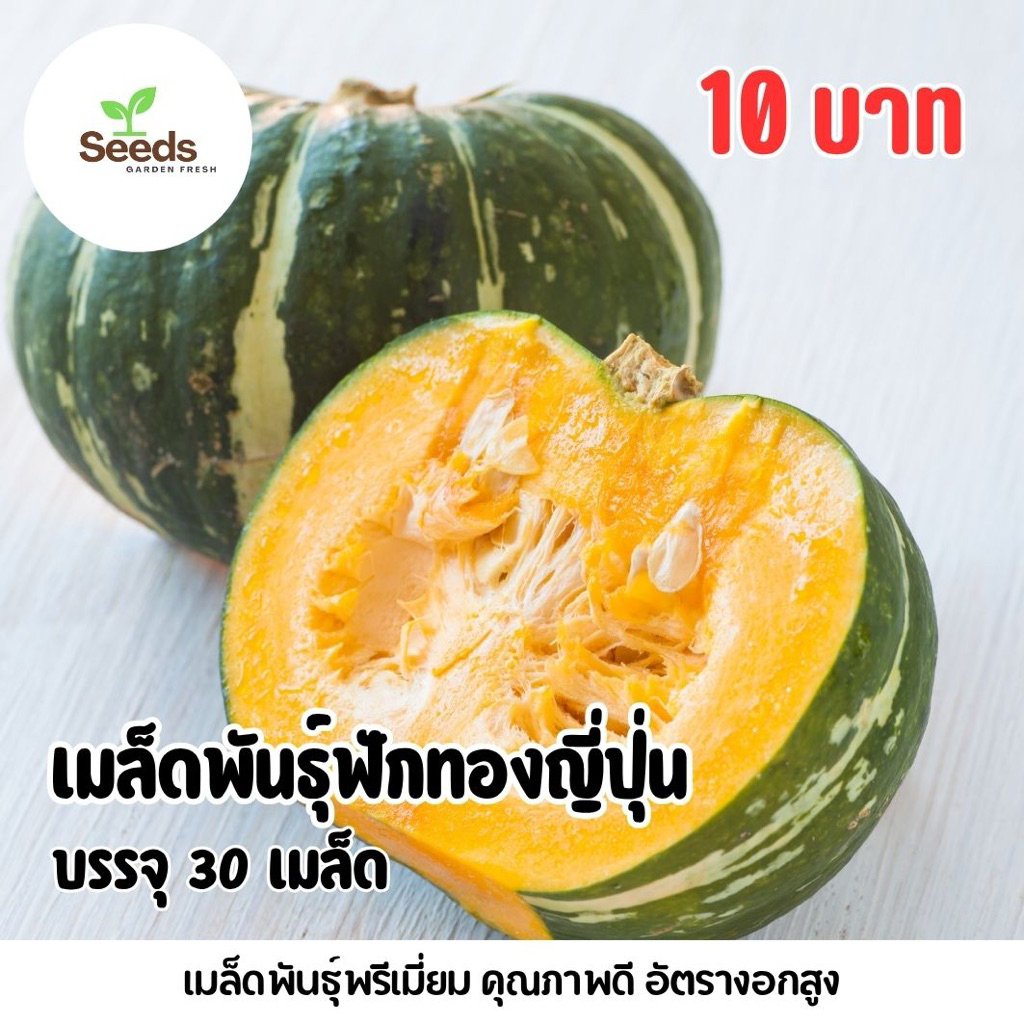เมล็ดพันธุ์ฟักทองญี่ปุ่น บรรจุ 30 เมล็ด/ซอง