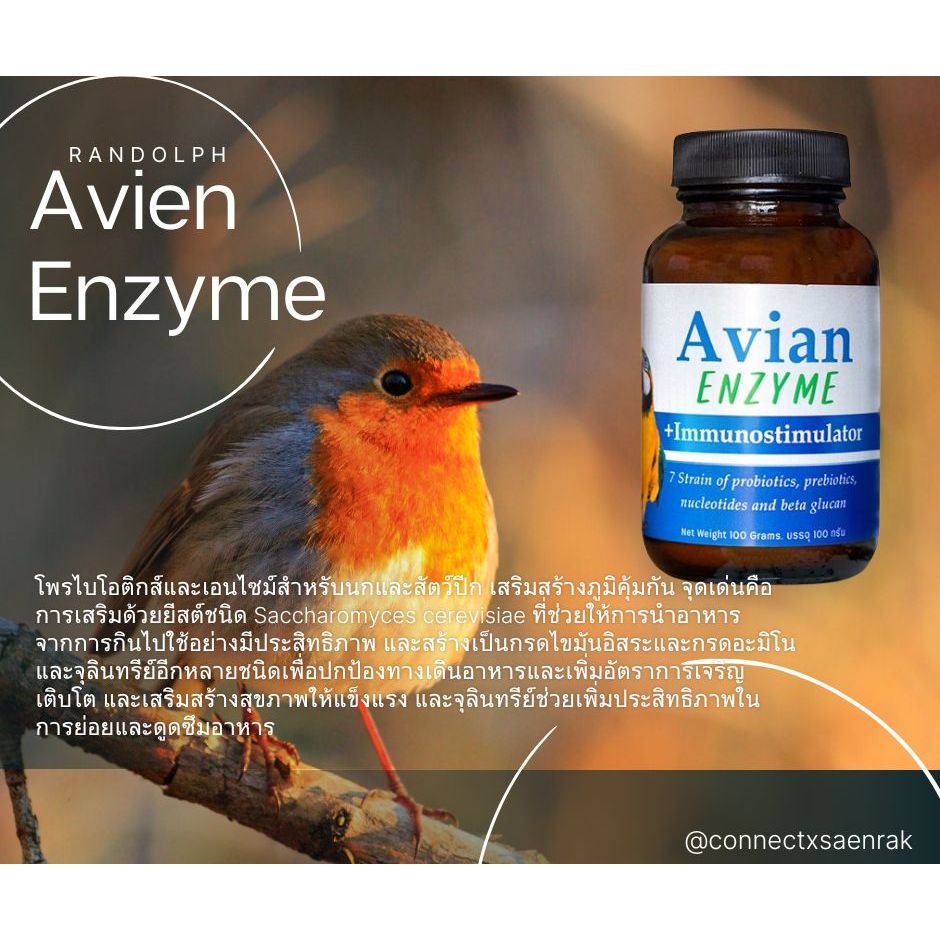 Randolph - Avian Enzyme เอเวียน เอนไซม์ ตัวปรับสมดุลจุลชีพสำหรับนกทุกชนิด ขนาด 100 กรัม