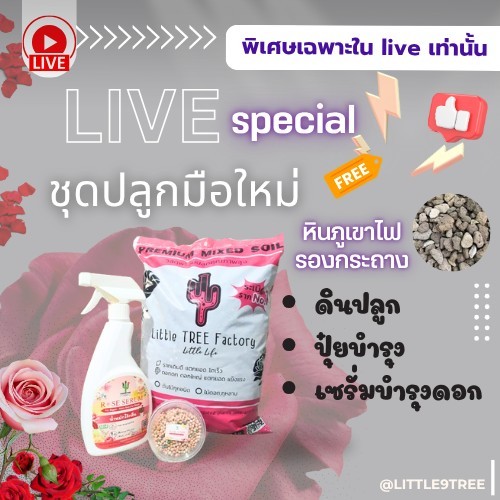 Live special!!!ชุดมือใหม่เริ่มปลูกกุหลาบไม้ดอกทุกชนิดชุดปลูกกุหลาบเซทปลูกไม้ดอกดอกไม้ทุกชนิด