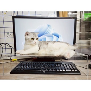 🐱 ทาสแมวโปรดทราบ! เบื่อไหมที่น้องแมวชอบเหยียบแป้นพิมพ์? 😩 แผ…