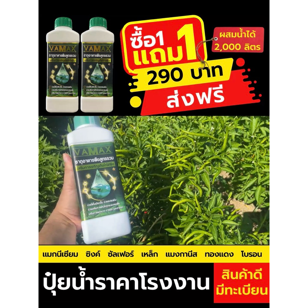 Zenmax , Vamax , Cabmac , Bionax อะมิโน รวม , ปุ๋ยน้ำ สูตรรวม , สารจับใบ  โปร 1 แถม 1 - รูปที่ 5