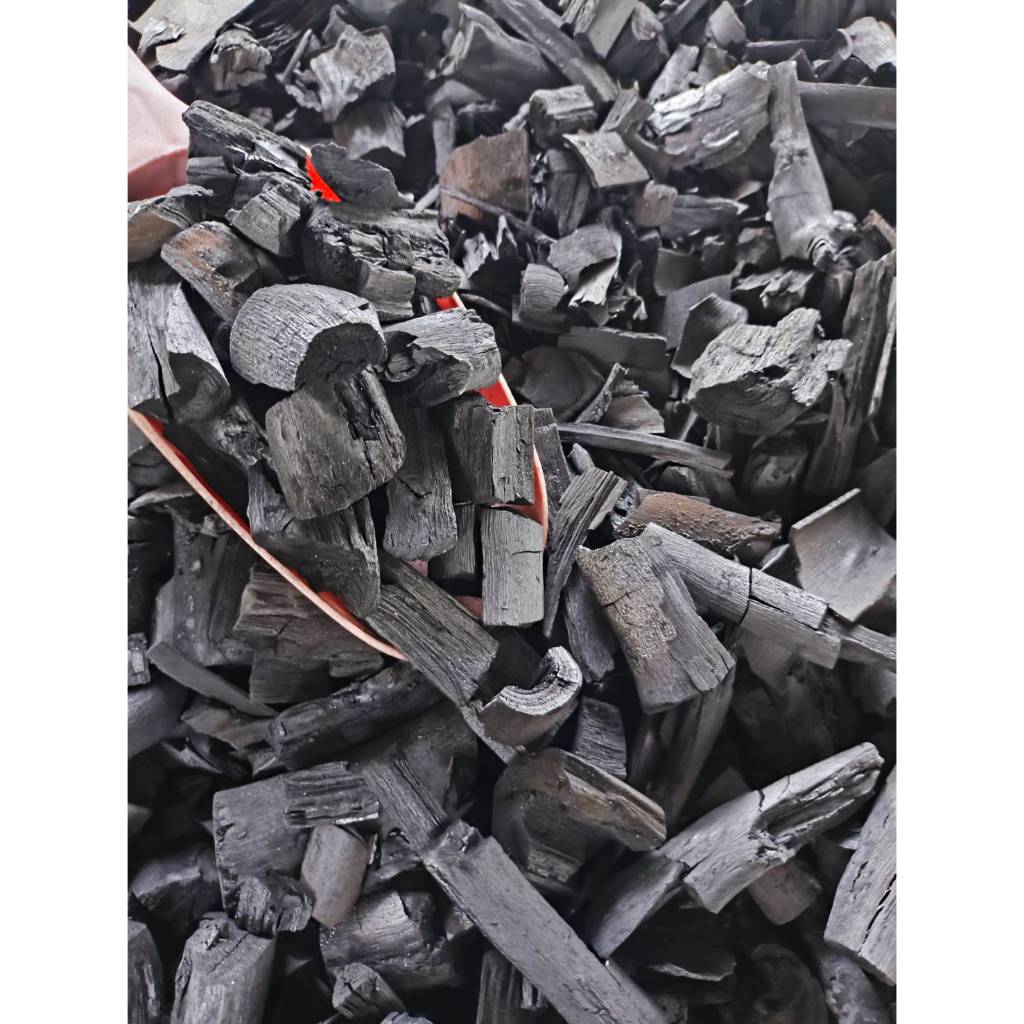 🔥 ถ่านไบโอชาร์แบบก้อน Biochar เพิ่มธาตุอาหารพืช ปรับสภาพดิน กักเก็บน้ำดีเยี่ยม