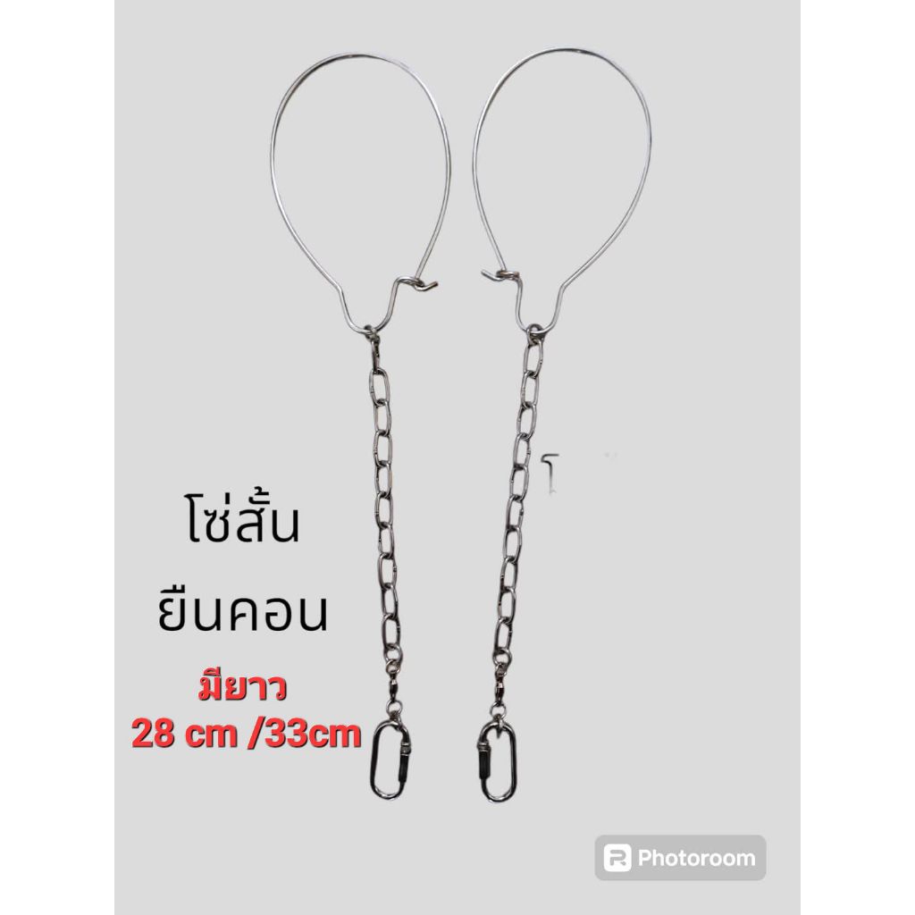 โซ่แสตนเลสนกแก้วยืนคอน