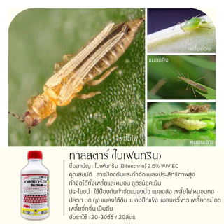 💥💥 สินค้ายกลัง 💥💥 ทาลสตาร์ 1ลิตร*12ขวด (ไบเฟนทริน) ป้องกันหนอน เพลี้ยและแมลงตัวบิน