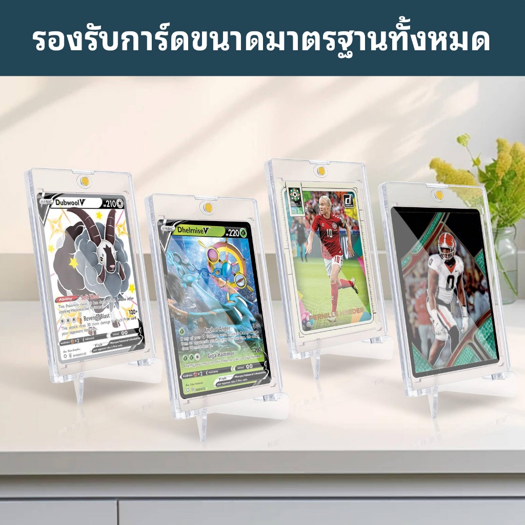 รูปภาพ 2