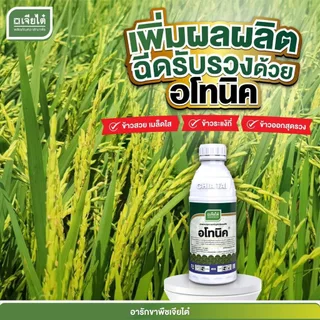 อโทนิค เจียไต๋ 1ลิตร อาหารเสริมพืช กระตุ้นราก ฟื้นฟูต้น ขยายผลดี เพิ่มผลผลิตมากกว่าเดิม