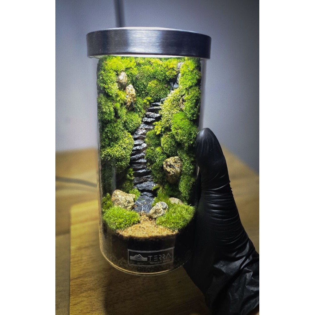Terrarium moss สวนขวดแก้วขั้นบันไดมอส