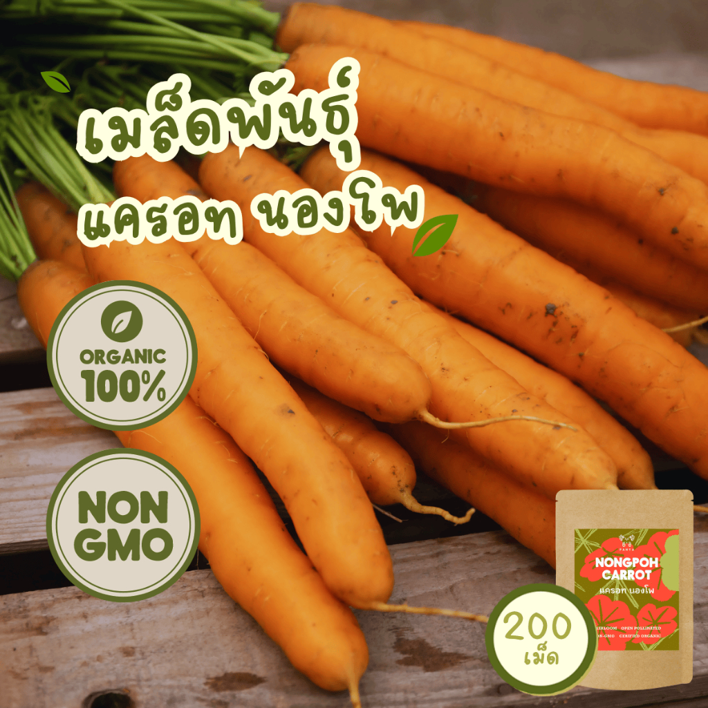 เมล็ดพันธุ์ แครอท นองโพ 100% ออร์แกนิค Non-GMO เกรดพรีเมี่ยม (Organic Nongpoh Carrot Seeds) บรรจุ 200 เมล็ด