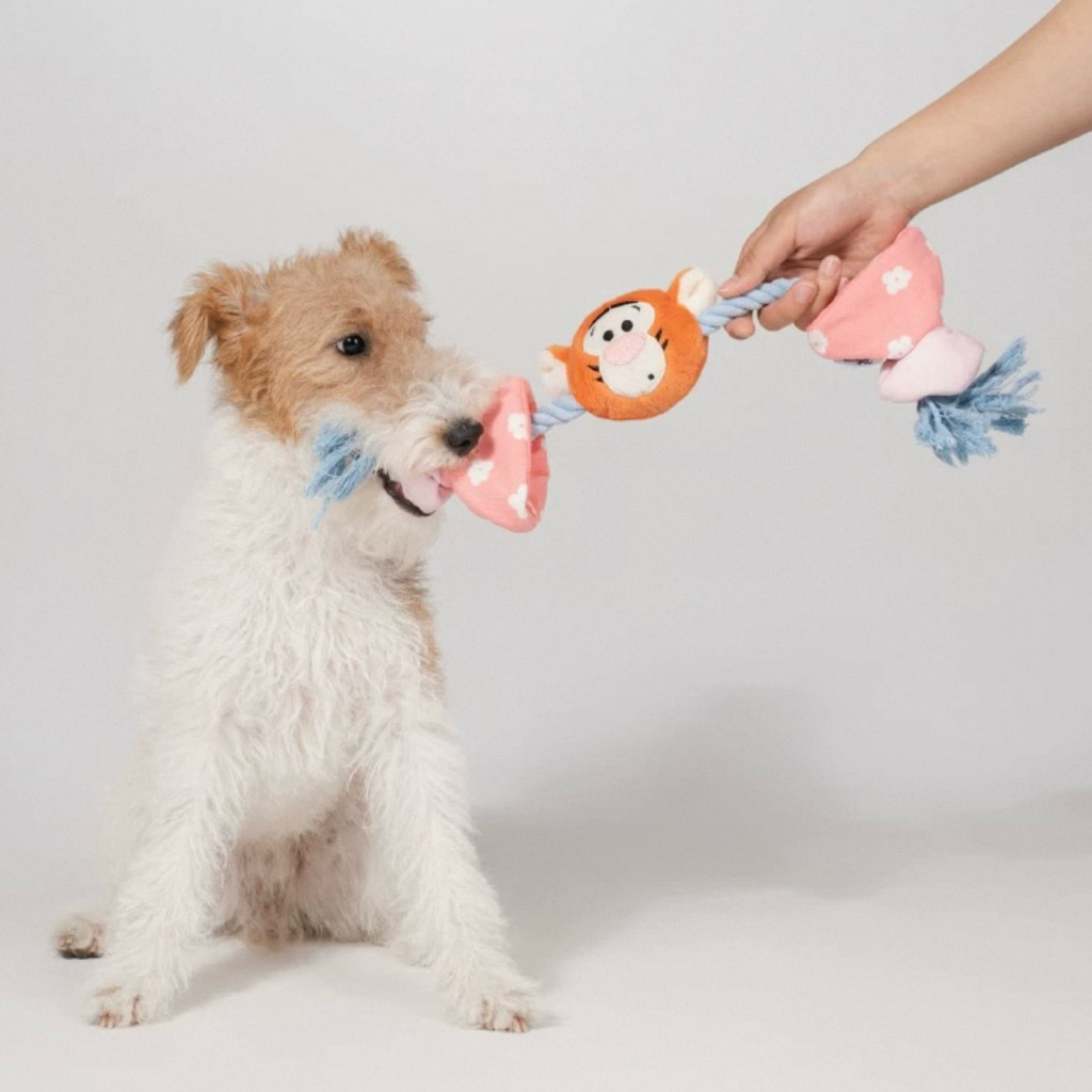VELKYBARK [พร้อมส่ง] Petsville x Disney ของเล่นเชือกถักสัตว์เลี้ยง ของเล่นสุนัข ของเล่นเชือกถัก มีเสียง ราคา ถูกที่สุด ดีลบีเคเค แกลเลอรีภาพที่ 3