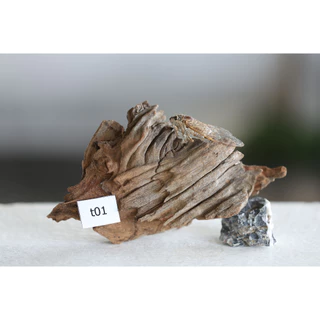 ตอไม้ Driftwood ( คัดเกรด ) set t
