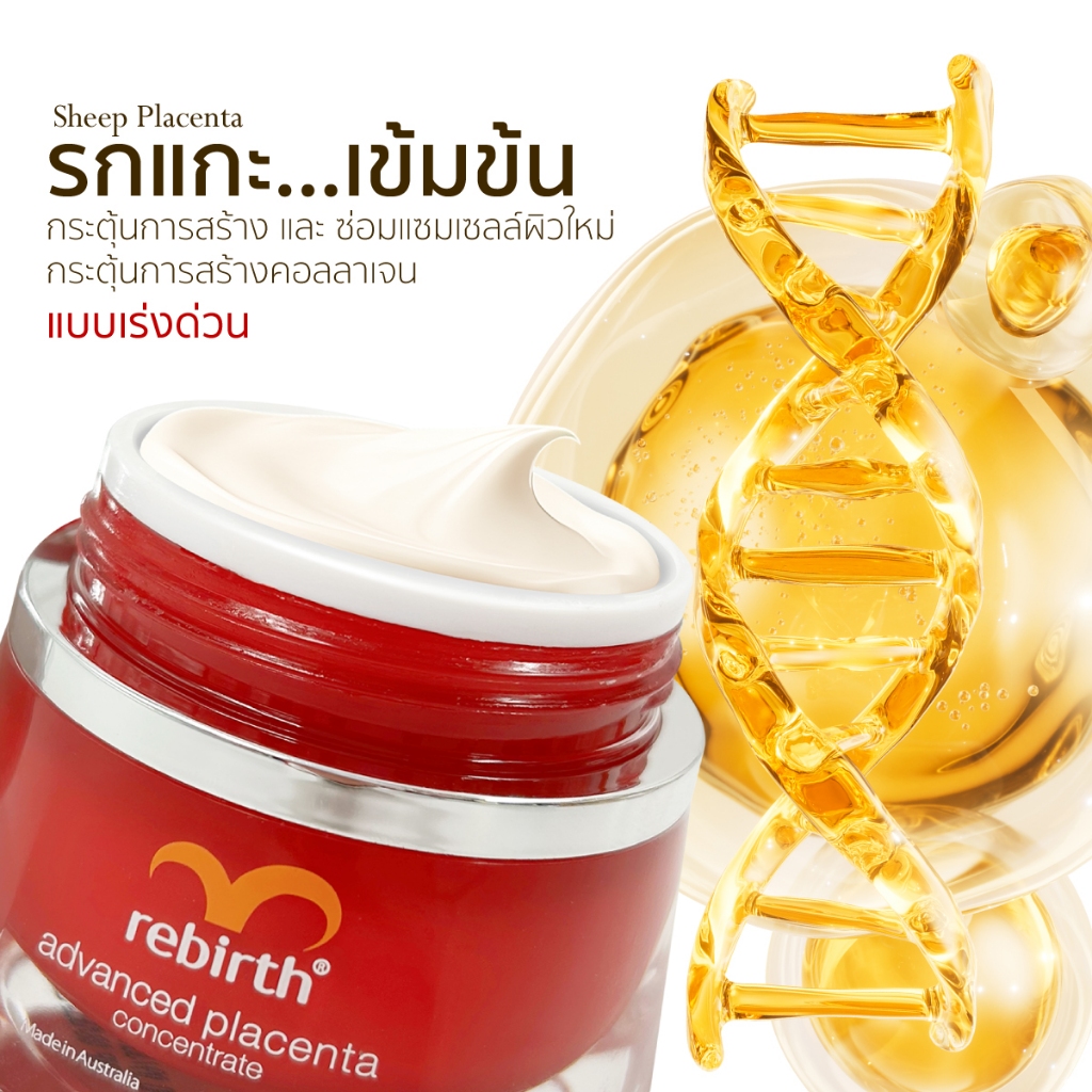 REBIRTH ADVANCED PLACENTA CONCENTRATE 50ML รีเบิร์ท ครีมรกแกะสูตรเข้มข้น — صورة 5
