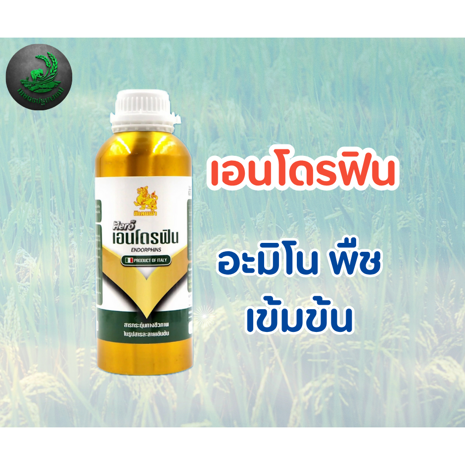 3 ขวด🌿✨ เอนโดรฟิน อะมิโน + สาหร่าย 1 ลิตร