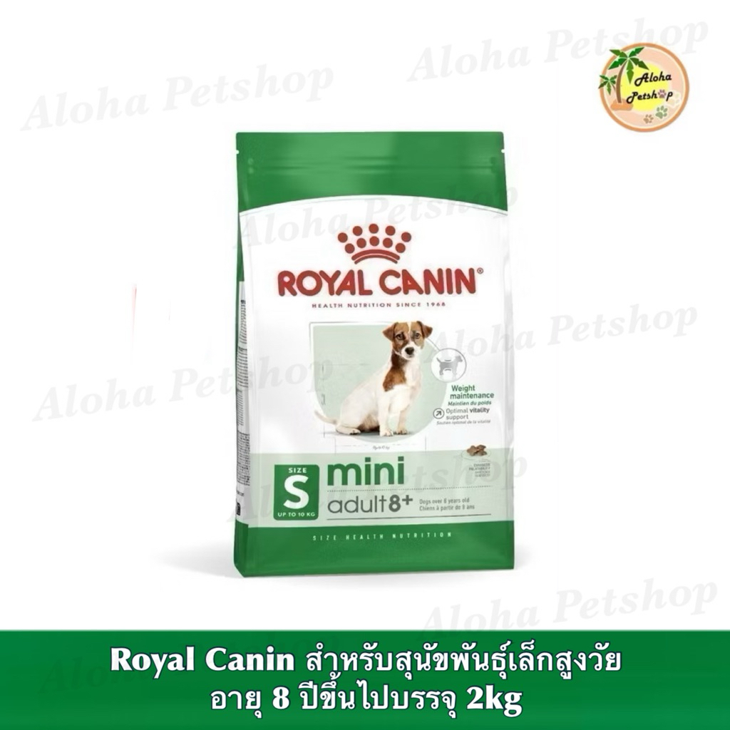 Royal canin mini mature 8+ โรยัล คานินอาหารสุนัขพันธุ์เล็กอายุ 8 ปีขึ้นไป 2kg