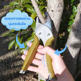กรรไกรตัดแต่งกิ่ง Razorsaw แท้ Rakunandesu Pruning shearsน้ำหนักเบากดง่ายไม่เจ็บ