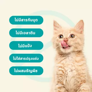 Bite of Wild ขนมแมวเลีย เนื้อกระต่าย สำหรับช่วยย่อยอาหาร 60 กรัม Cat Treats