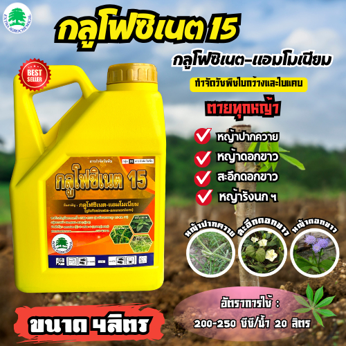 กลูโฟซิเนต-แอมโมเนียมยกลัง (6แกลลอน) สั่ง1ลังต่อ1ออเดอร์ กลูโฟซิเนต15(ตราต้นไม้)แกลลอนเหลือง