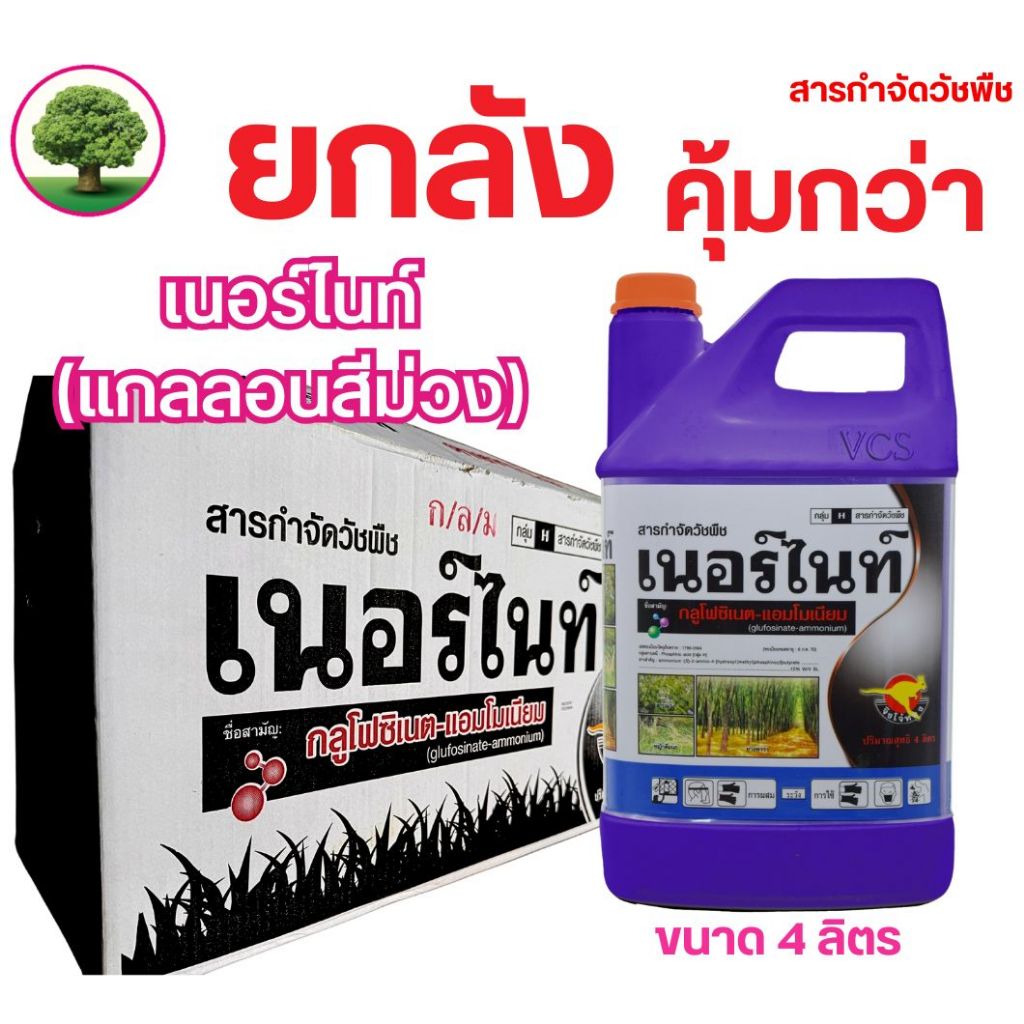 เนอร์ไนท์(ม่วง-ยกลัง) ขนาด 4 ลิตร*6แกลลอน
