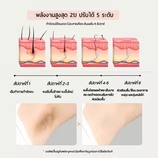 【รับประกัน2ปี】SiIk'n IPL เครื่องกำจัดขนด้วยเลเซอร์ 21J (ไม่จำกัดช็อต）สูตรเย็น เครื่องกำจัดขนถาวร Multi Function