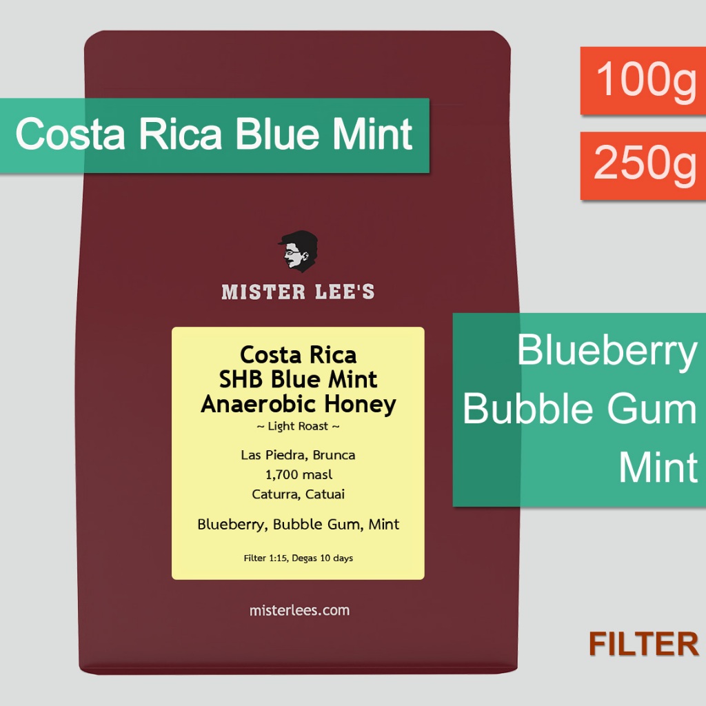 Costa Rica Blue Mint Anaerobic Honey เมล็ดกาแฟคอสตาริกาบลูมินท์คั่วอ่อน
