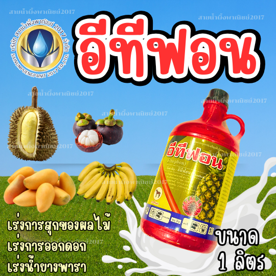 อีทีฟอน 52% SL ตราม้าแดง ฮอร์โมนพืช อาหารเสริมพืช สำหรับเร่งการสุก เร่งออกดอกสับปะรด ขนาด 1000CC สินค้าคุณภาพ พร้อมส่ง
