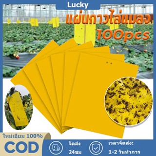 แผ่นกาวดักแมลง(มีกาวในตัว)กาวเหนียว 2 ด้าน เหนียว แพ็คละ25/5…