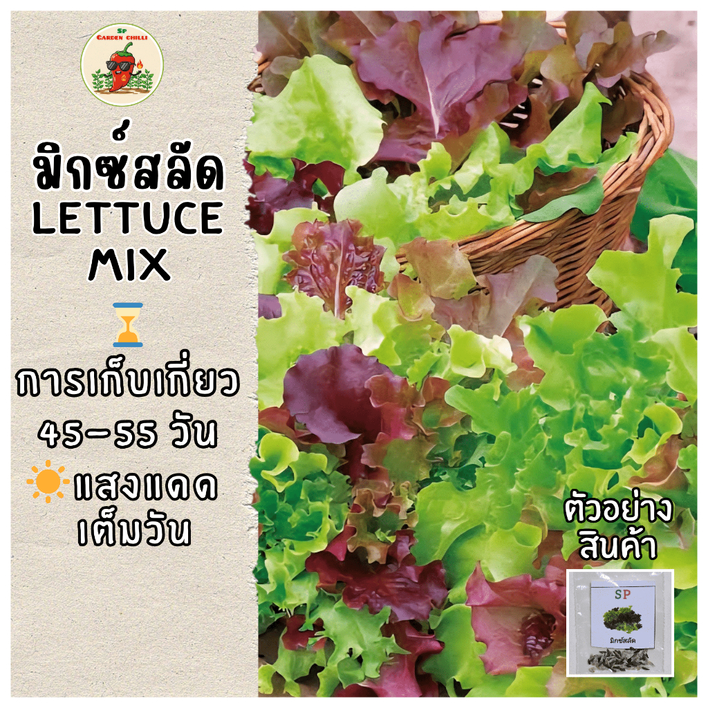 เมล็ดพันธ์ุผักสลัดมิกซ์(LETTUCE MIX)

<p>“><center></p>
<h4></h4>
<p><p><font color=