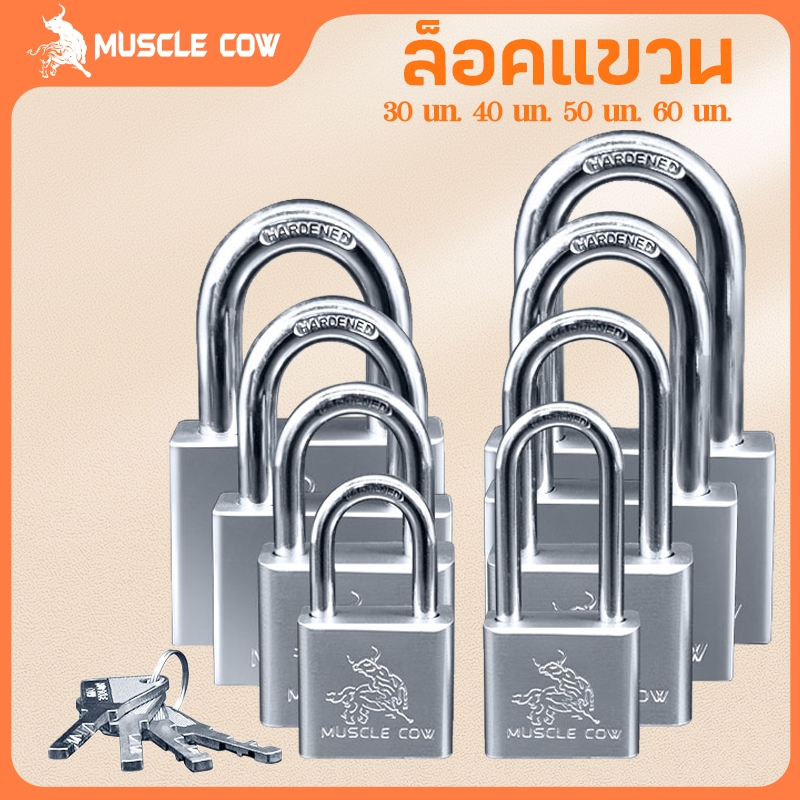 MUSCLE COW แม่กุญแจล็อค กุญแจ พร้อมลูกกุญแจ 3 ดอก สีเงิน 30mm 40mm 50mm ยาวและสั้น