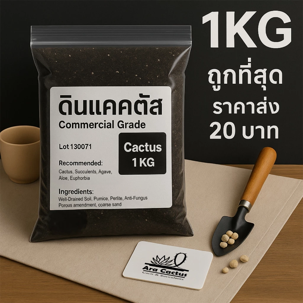 (ถุง1โล)🌵ดินปลูกแคคตัสราคาส่ง 20 บาท พร้อมปลูก ดินปลูกกระบองเพชร ระบายน้ำดี มีกันเพลี้ย รา 1kg 1กก.