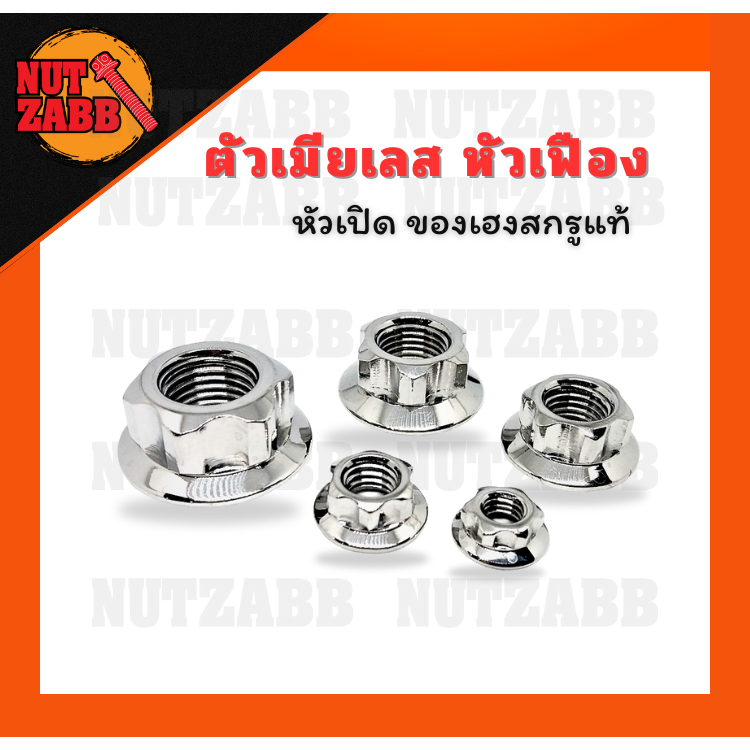 ตัวเมียเลส หัวเฟือง หัวเปิด ของเฮงสกรูแท้ รับประกันจากโรงงาน เลส