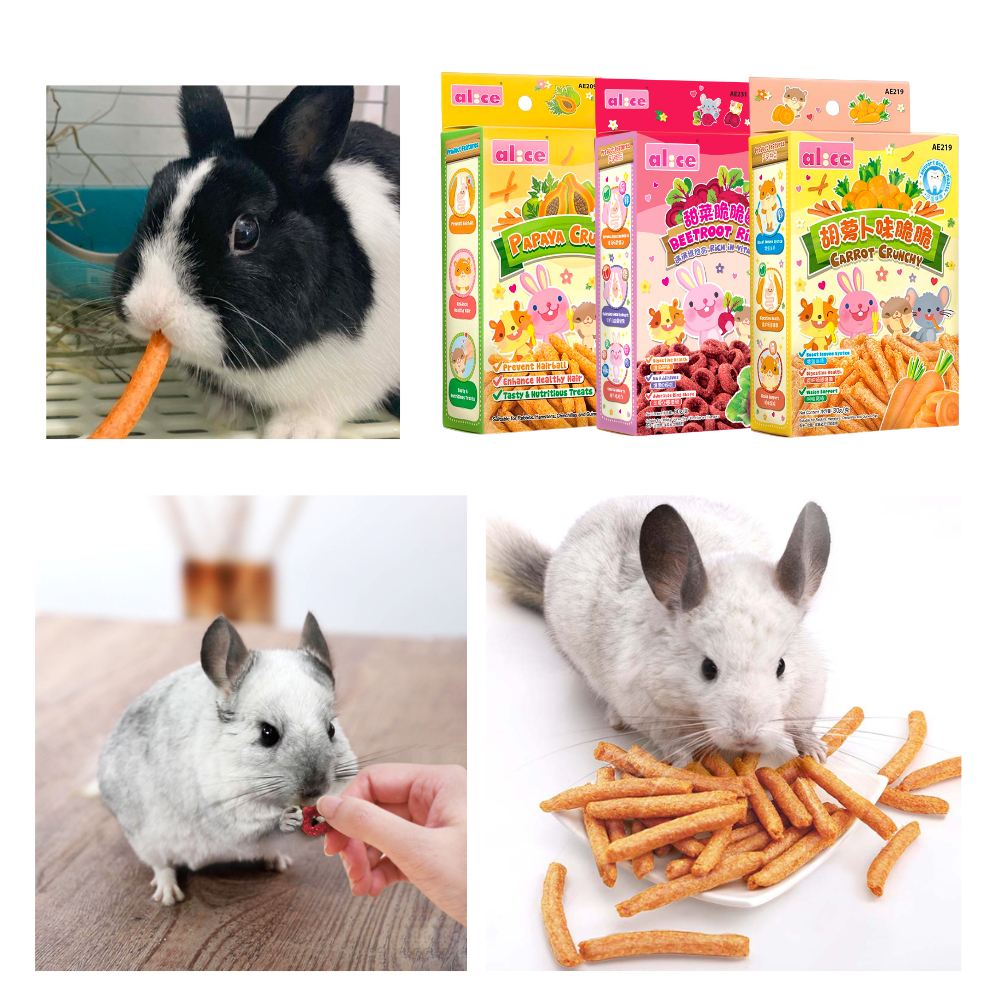 Alice (อลิซ) Crunchy Fruit ผลไม้อบกรอบ ผักอบกรอบ ขนมลับฟันกระต่าย แกสบี้ ชินชิล่า และสัตว์เล็ก ราคา ถูกที่สุด ดีลบีเคเค แกลเลอรีภาพที่ 2