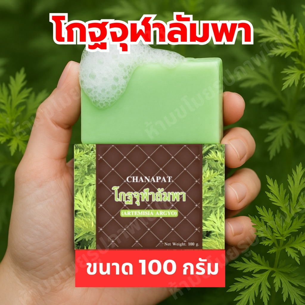 (แท้จากโรงงาน) สบู่โกฐจุฬาลัมพา สบู่แก้เหม็นสาบ เหม็นเปรี้ยว กลิ่นตัวแรง (แถมถุงตีฟอง)
