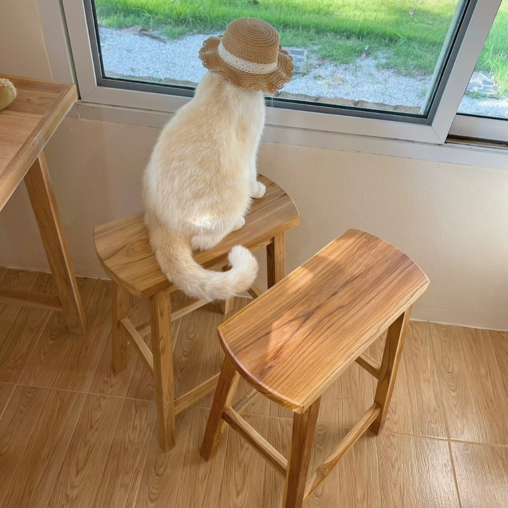 เก้าอี้สตูลสูง 60 CM เก้าอี้ไม้สัก  เก้าอี้สตูล สตูล เก้าอี้ - รูปที่ 4