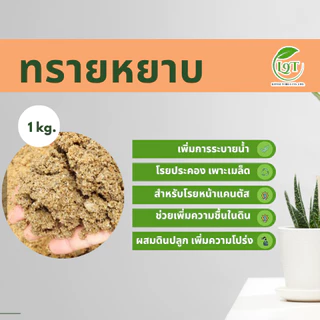 ทรายหยาบ ทรายละเอียด แบ่ง 1kg สำหรับผสมในดินเป็นวัสดุปลูก