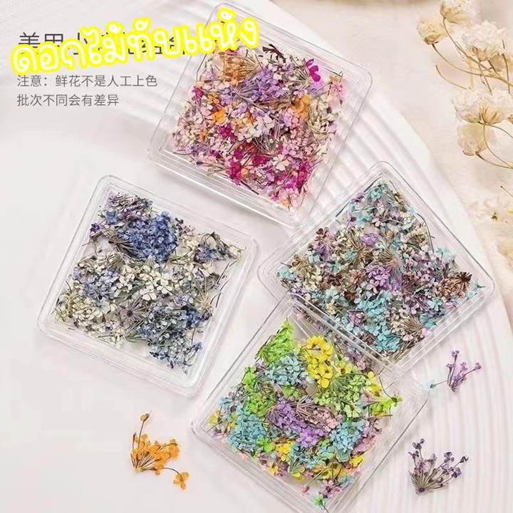 ดอกไม้ทับแห้ง เอมิมาจัส ดอกจริง ขนาด 1.5 cm สำหรับตกแต่งเครื่องประดับ เล็บ เคส น้ำยาเรซิ่น ต่างๆ DIY