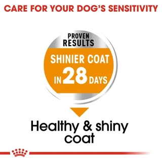 ROYAL CANIN MINI COAT CARE 3KG อาหารเม็ดสูตรบำรุงขนและผิวหนัง 3 KG