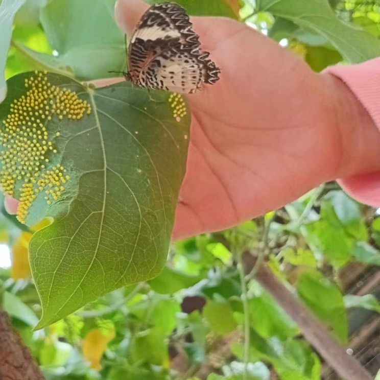 รูปภาพ 3