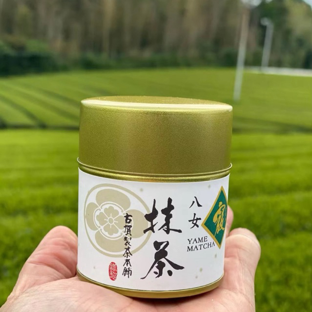 Yame Matcha Fukuoka Japan 🍵🍃🇯🇵🥜