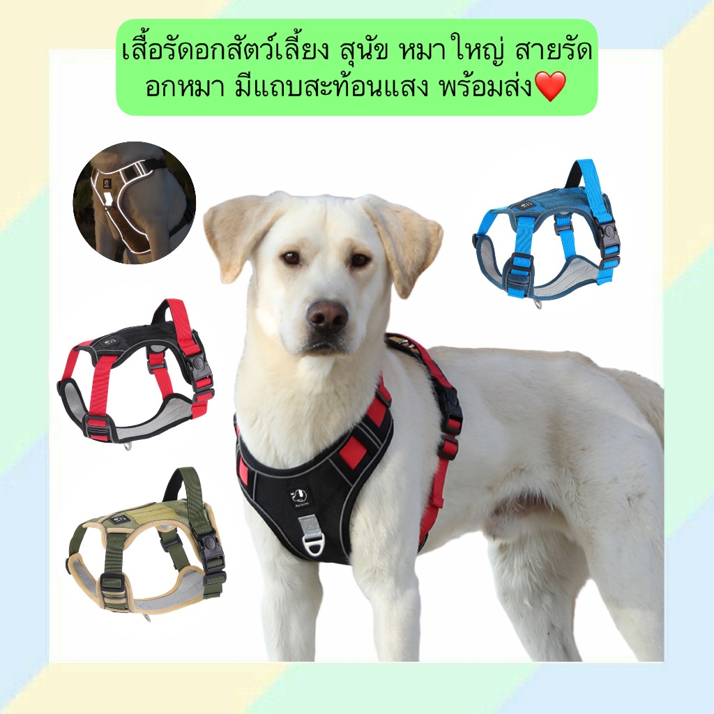 MG-711 เสื้อรัดอกสัตว์เลี้ยง สุนัข หมาใหญ่ สายรัดอกหมา พร้อมแถบสะท้อนแสง พร้อมส่ง ❤️