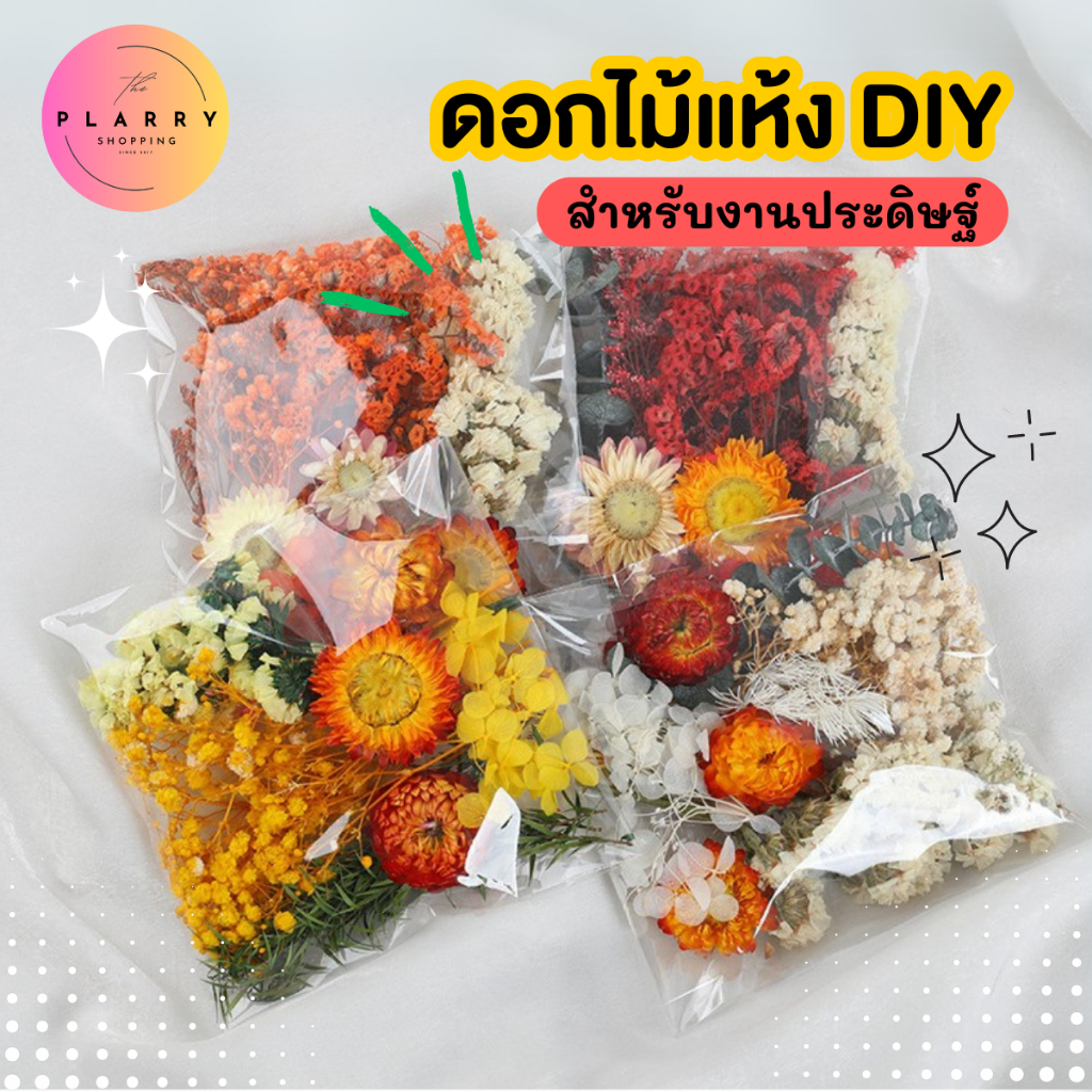 ชุดดอกไม้แห้ง DIY ดอกไม้แห้ง สำหรับงานประดิษฐ์ มีหลายสีให้เลือก V110 พร้อมส่งจากไทย