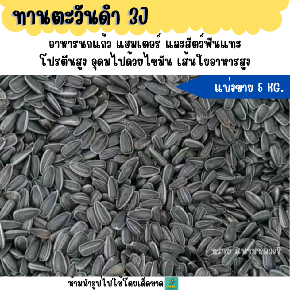 (5 KG.)**ดำ 3J**เมล็ดทานตะวันดำ  อาหารนกและสัตว์ฟันแทะ