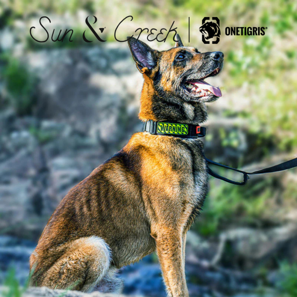 ปลอกคอสุนัข Dog Collar 08 - รูปที่ 2